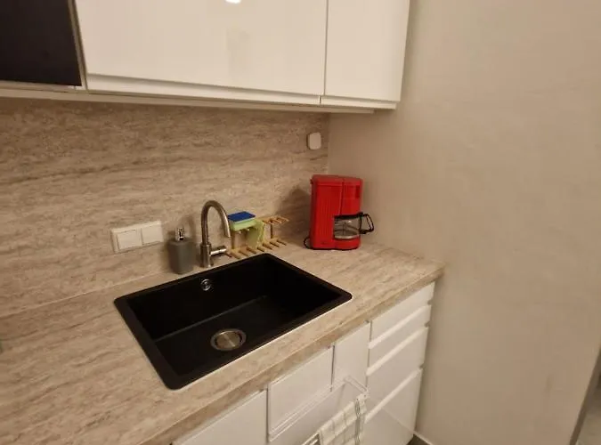 Entzueckendes Im Zentrum Graz